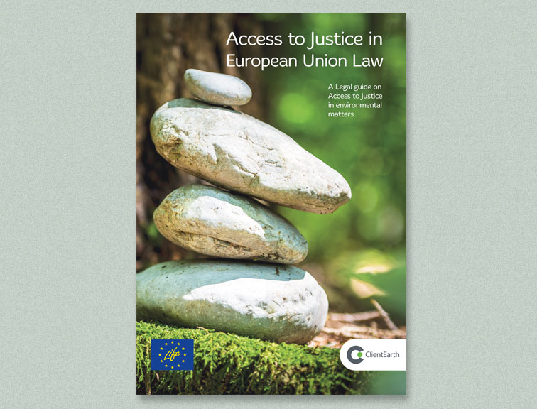 Access to Justice in European Union Law - Client Earth Access to Justice in European Union Law - Client Earth